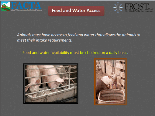 Pork Online Animal Welfare Training | FACTA LLC