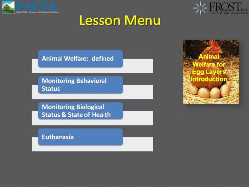 Layer Online Animal Welfare Training | FACTA LLC